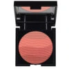 RVB Lab Color Waves Blush Compact -Eskin store Color Waves Blush Compact 612 detail
